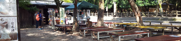 Nara Park Hirsche